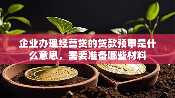 企业办理经营贷的贷款预审是什么意思，需要准备哪些材料