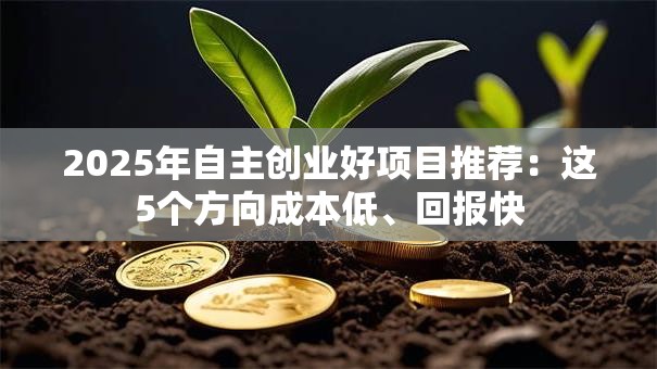 2025年自主创业好项目推荐：这5个方向成本低、回报快