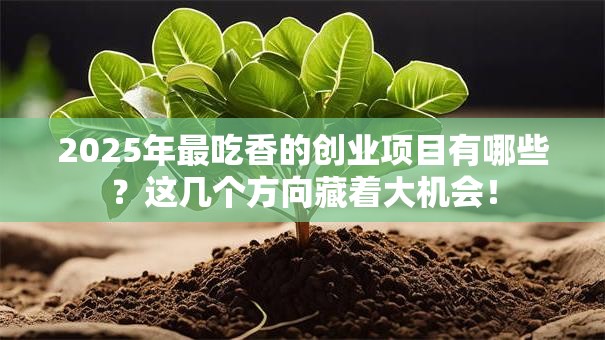 2025年最吃香的创业项目有哪些？这几个方向藏着大机会！