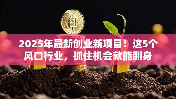 2025年最新创业新项目！这5个风口行业，抓住机会就能翻身