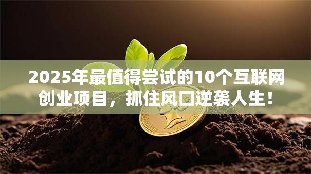 2025年最值得尝试的10个互联网创业项目，抓住风口逆袭人生！