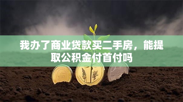 我办了商业贷款买二手房，能提取公积金付首付吗