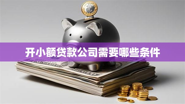 开小额贷款公司需要哪些条件