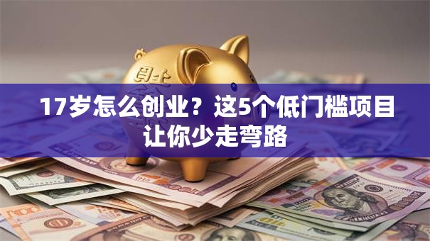 17岁怎么创业？这5个低门槛项目让你少走弯路
