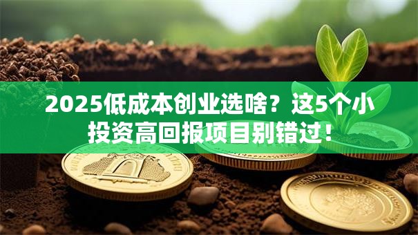 2025低成本创业选啥？这5个小投资高回报项目别错过！