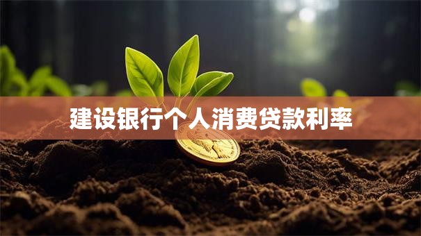 建设银行个人消费贷款利率