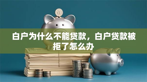 白户为什么不能贷款，白户贷款被拒了怎么办