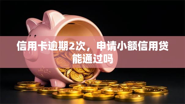 信用卡逾期2次，申请小额信用贷能通过吗