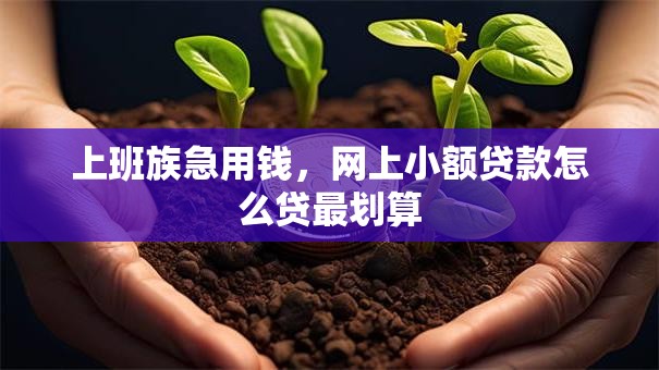 上班族急用钱，网上小额贷款怎么贷最划算