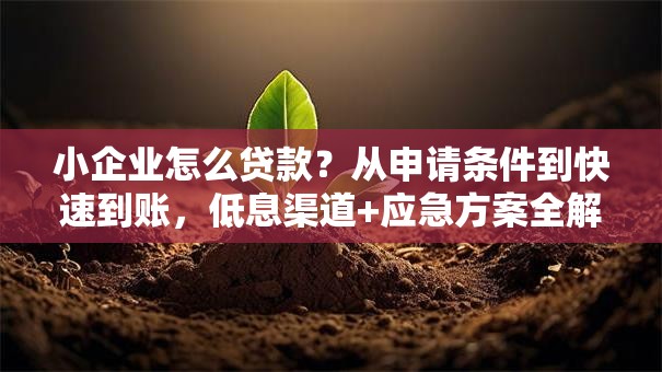 小企业怎么贷款？从申请条件到快速到账，低息渠道+应急方案全解析