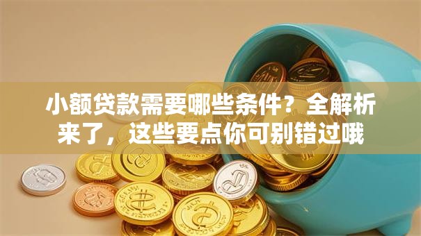 小额贷款需要哪些条件？全解析来了，这些要点你可别错过哦