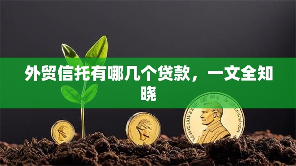外贸信托有哪几个贷款，一文全知晓