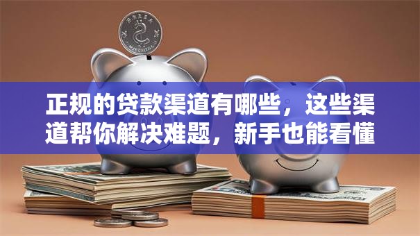 正规的贷款渠道有哪些，这些渠道帮你解决难题，新手也能看懂