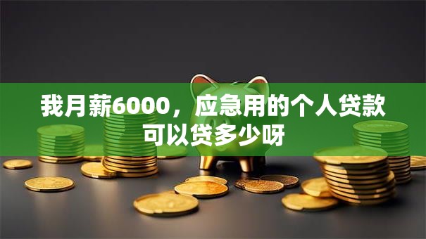 我月薪6000，应急用的个人贷款可以贷多少呀
