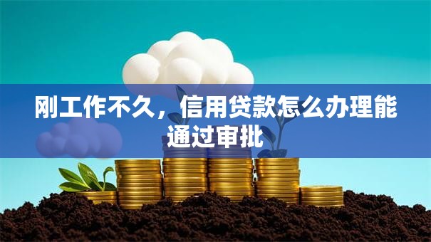 刚工作不久，信用贷款怎么办理能通过审批