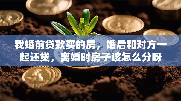 我婚前贷款买的房，婚后和对方一起还贷，离婚时房子该怎么分呀？