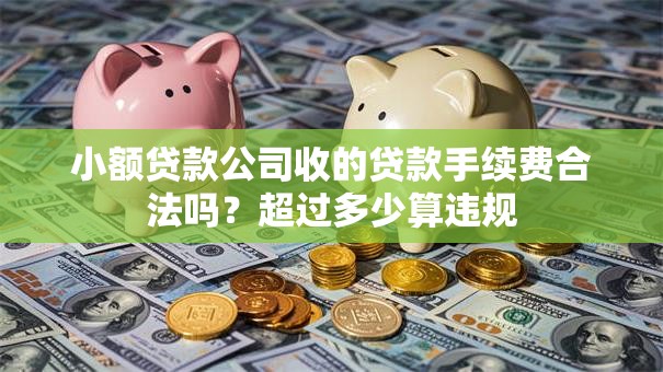 小额贷款公司收的贷款手续费合法吗？超过多少算违规