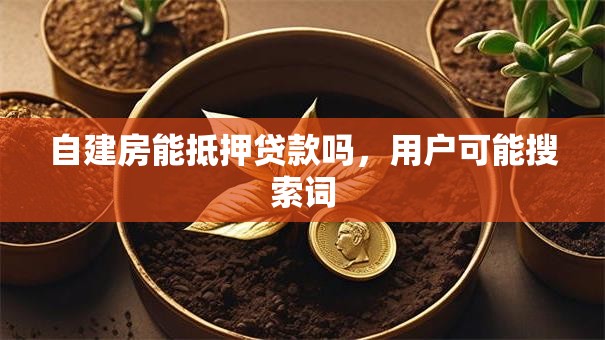 自建房能抵押贷款吗，用户可能搜索词
