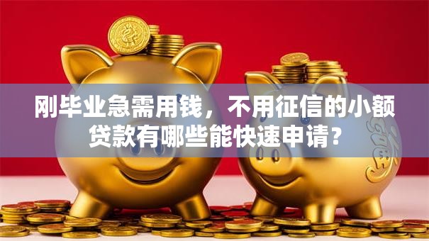 刚毕业急需用钱，不用征信的小额贷款有哪些能快速申请？