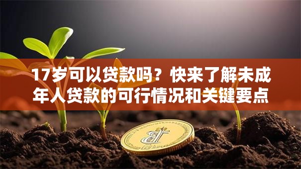 17岁可以贷款吗？快来了解未成年人贷款的可行情况和关键要点