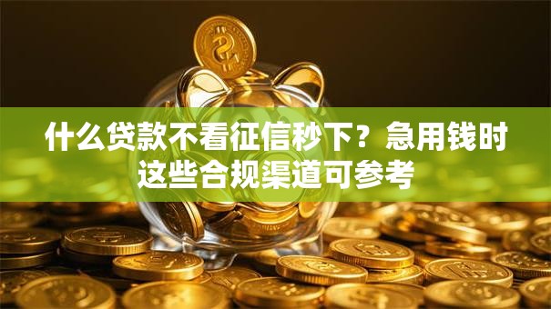 什么贷款不看征信秒下？急用钱时这些合规渠道可参考