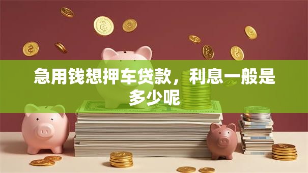 急用钱想押车贷款，利息一般是多少呢