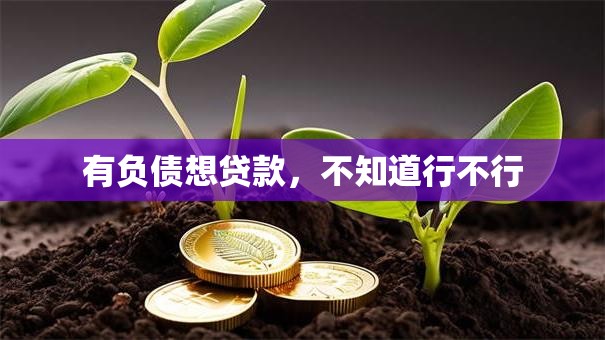 有负债想贷款，不知道行不行