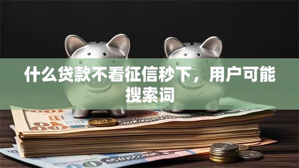 什么贷款不看征信秒下，用户可能搜索词