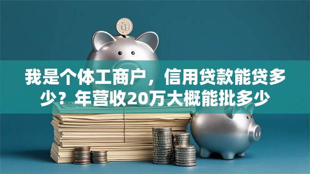 我是个体工商户，信用贷款能贷多少？年营收20万大概能批多少