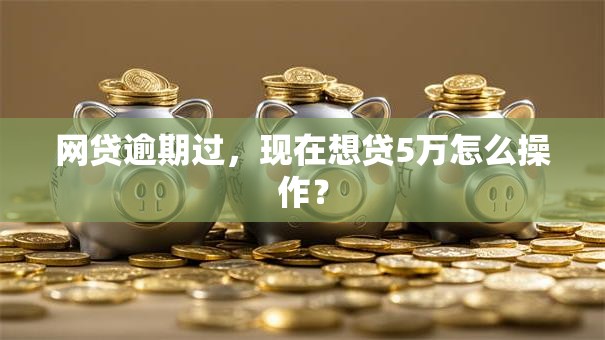 网贷逾期过，现在想贷5万怎么操作？