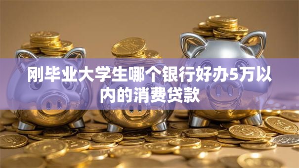刚毕业大学生哪个银行好办5万以内的消费贷款