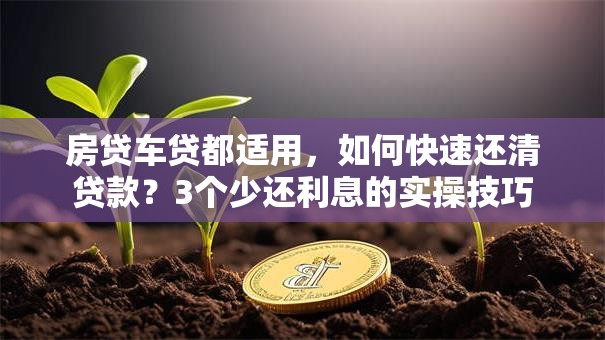 房贷车贷都适用，如何快速还清贷款？3个少还利息的实操技巧