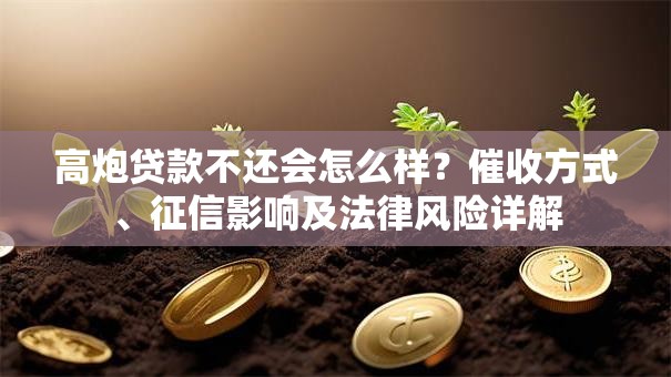 高炮贷款不还会怎么样？催收方式、征信影响及法律风险详解