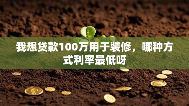我想贷款100万用于装修，哪种方式利率最低呀