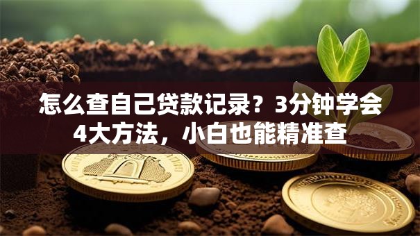 怎么查自己贷款记录？3分钟学会4大方法，小白也能精准查