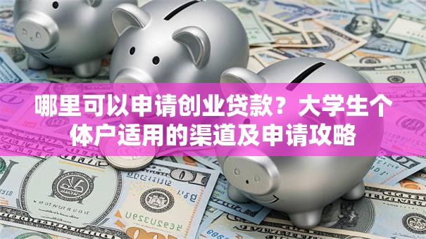 哪里可以申请创业贷款？大学生个体户适用的渠道及申请攻略