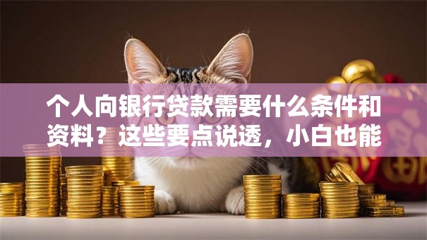 个人向银行贷款需要什么条件和资料？这些要点说透，小白也能看懂