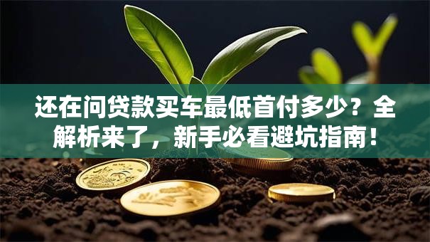 还在问贷款买车最低首付多少？全解析来了，新手必看避坑指南！