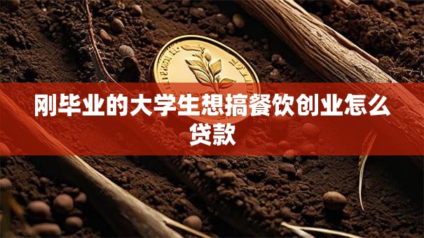 刚毕业的大学生想搞餐饮创业怎么贷款
