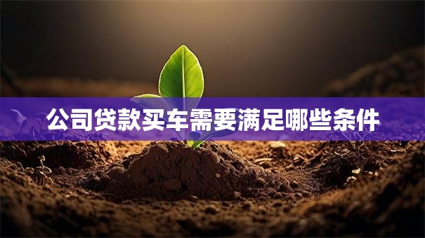 公司贷款买车需要满足哪些条件