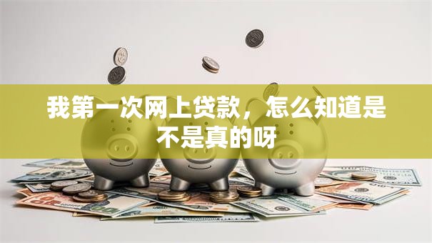 我第一次网上贷款，怎么知道是不是真的呀