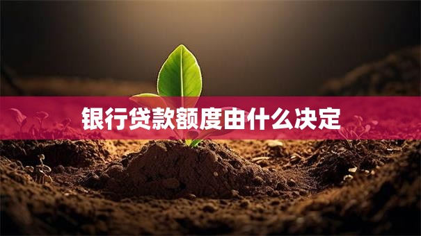 银行贷款额度由什么决定