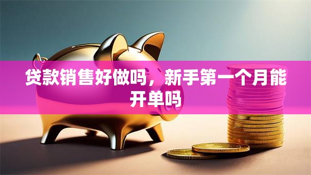 贷款销售好做吗，新手第一个月能开单吗