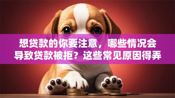 想贷款的你要注意，哪些情况会导致贷款被拒？这些常见原因得弄清楚，不然可能贷不到，看完心里就有数了