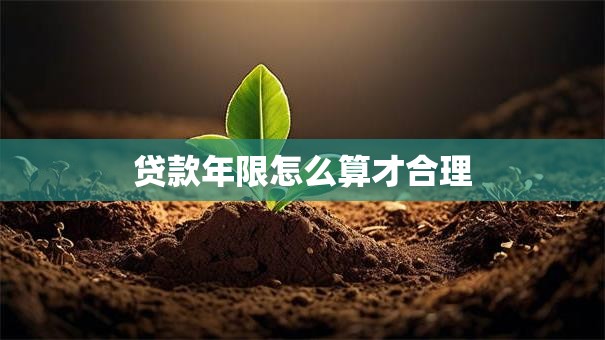 贷款年限怎么算才合理
