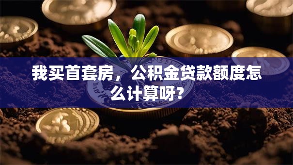 我买首套房，公积金贷款额度怎么计算呀？