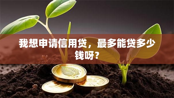 我想申请信用贷，最多能贷多少钱呀？