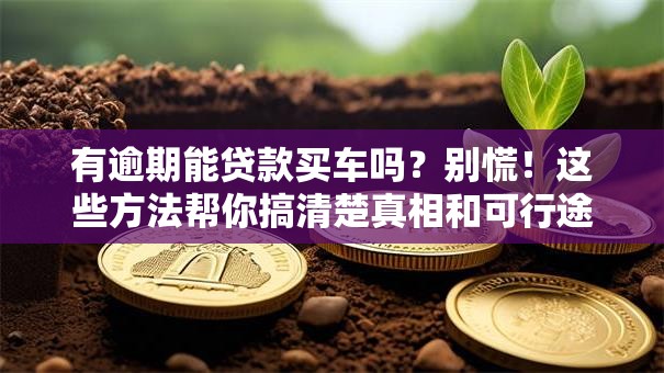 有逾期能贷款买车吗？别慌！这些方法帮你搞清楚真相和可行途径