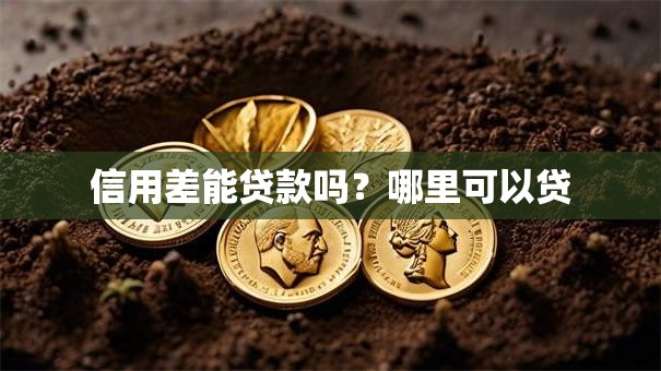 信用差能贷款吗？哪里可以贷