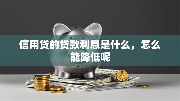 信用贷的贷款利息是什么，怎么能降低呢